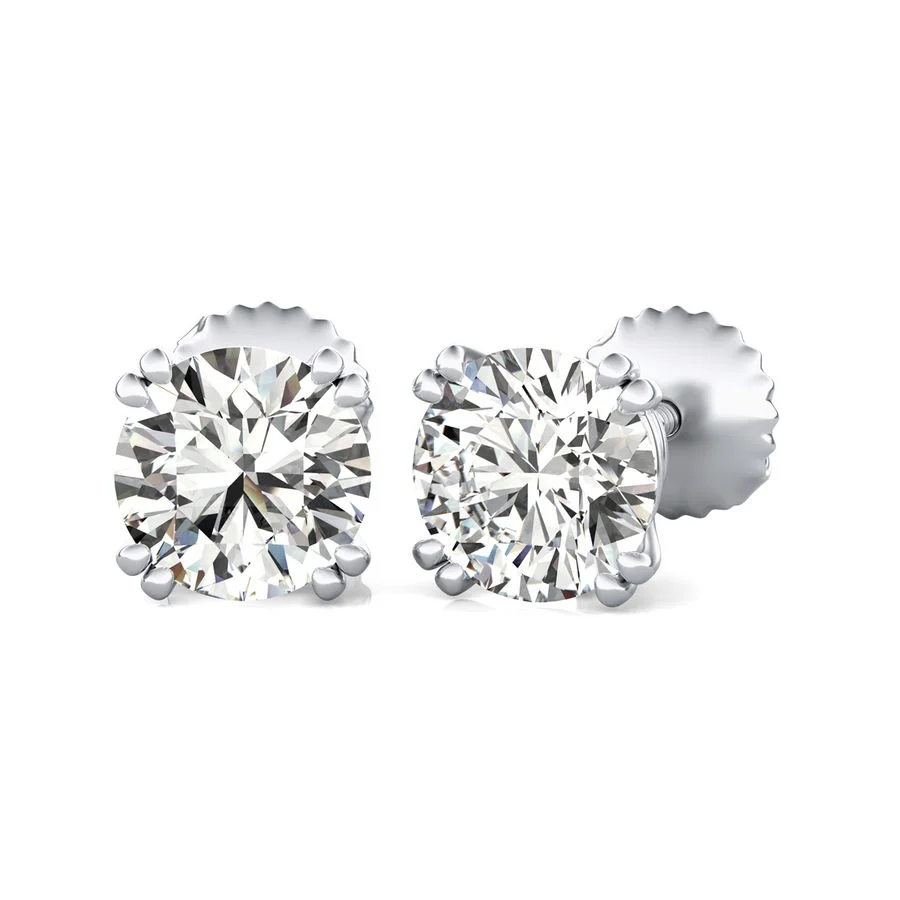 Double Wire Stud Earrings